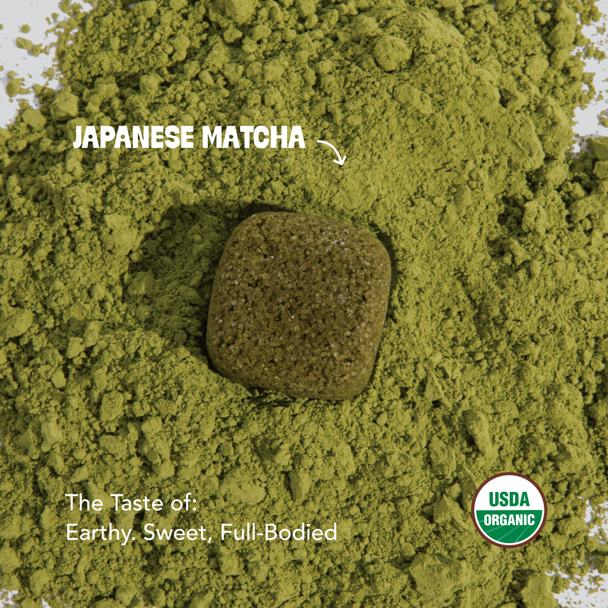 Matcha Latte Duo